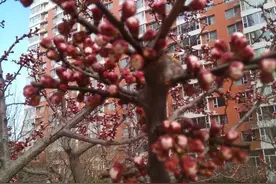 一次难忘的同学聚会图片