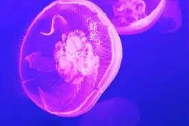 做到这4点，亲子关系越来越好图片
