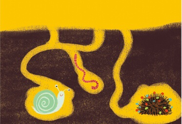 宝宝学画画教程：地下小动物