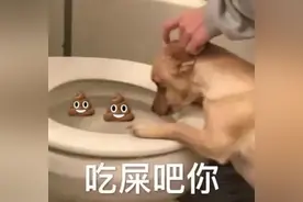 表情包｜被生活压倒图片