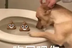 表情包｜被生活压倒图片