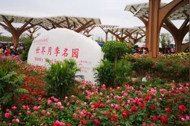 第十一届南阳月季花会今日开幕图片