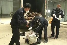 萍乡警方销毁119只野生动物死体，涉案18人收缴千万元赃款图片