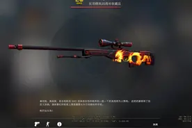 CSGO皮肤指南：不买龙狙就买蠕虫？这些AWP皮肤，也值得收藏图片