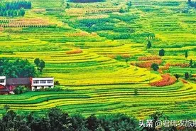 东南西北都有看头！重庆江津，你太让人惊艳了！图片