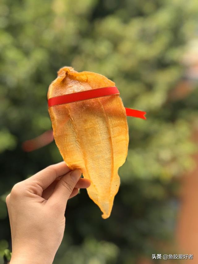 土鳘公和土鳘母有什么区别 土鳘公是野生的吗 土鳘公和土鳘母有什么区别 土鳘公是野生的吗