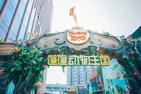 探店丨能和小动物亲密接触的地方，不只是动物园！（内有福利）图片