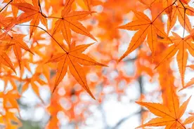 笔记｜“予”比“取”快乐图片