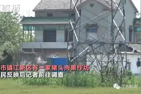 血水污水混杂，苍蝇乱飞长蛆！记者暗访猪头肉黑作坊当场呕吐图片
