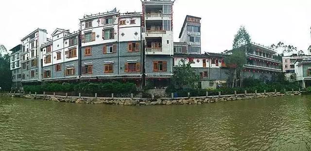 六堡茶丨可以喝的古董：一半是茶，一半是药