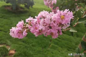 《曾国藩家书》：治病不要乱服补药，艰苦生活可以磨炼筋骨和体质图片