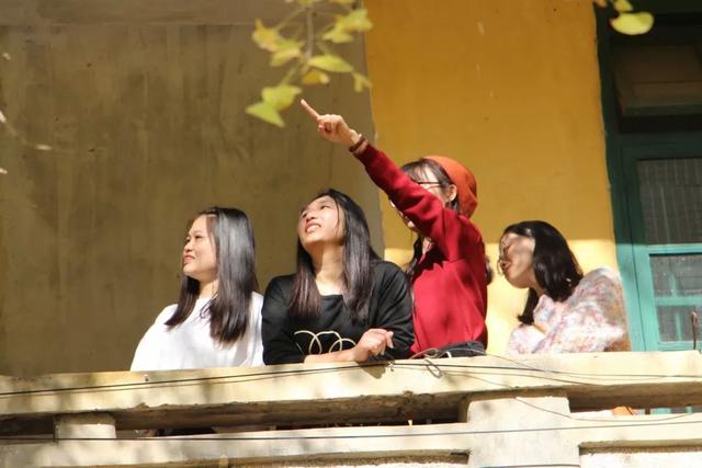 秋风吻尽银杏叶，艳遇醉美帽子峰