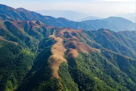 北方有呼伦贝尔大草原，粤西有鸡笼顶高山草甸，你想去玩吗？图片