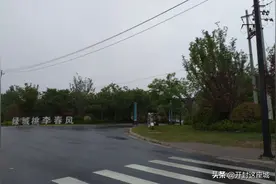 开封桃李春风的背后是绿城还是绿城发展？图片