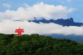 黎族爱情故事——甘工鸟图片