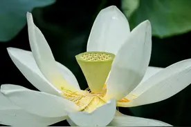 搁浅相遇，时光安好，素描尘世的小欢喜，泼墨时光的大结局图片