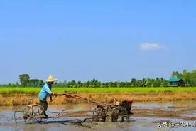 “三月怕三七，四月怕初一”啥意思？两个“怕”表示意思一样吗？图片