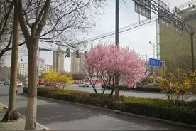 山水之间之（我眷恋的故乡）——作者：周孝林图片