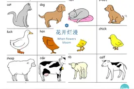 有趣的英语启蒙手工亲子游戏，可下载打印图片