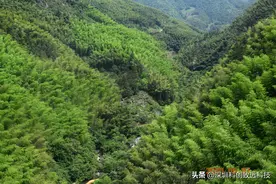 6月游黄山，黄山玻璃栈道突然“碎裂”图片