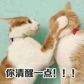 �����ֱ�ά��������֪������Щ�¶���