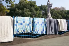 旧棉被不要了，直接丢掉？这样处理更好图片