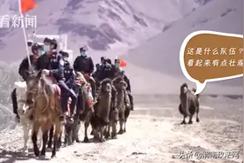 前方高萌！小骆驼强行加入巡逻队：蜀黍带带我图片