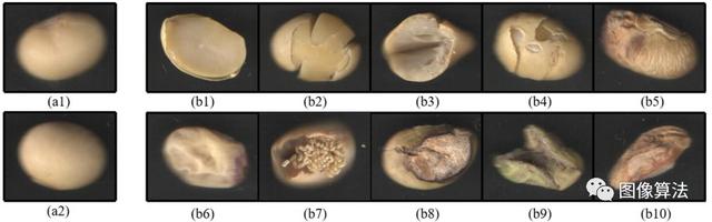 基于机器视觉技术快速准确地确定收获后干大豆种子的品质