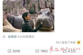 青岛这两只河马被韩寒领养了！取名"憨憨"和"汗汗"图片