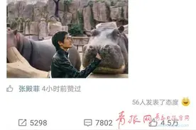 青岛这两只河马被韩寒领养了！取名"憨憨"和"汗汗"图片