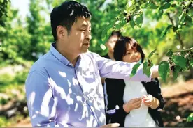 桑蚕可以吃？嫘祖家宴——药食同源传承中国五千年桑蚕文化图片