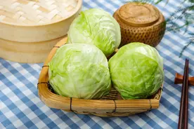 春天吃包菜，要分清“圆形”和“尖形”，差别挺大，弄懂别买错了图片