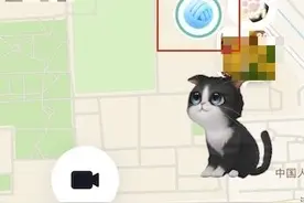 抖音版 QQ 宠物：抖音内测地图宠物功能，可在 App 内虚拟喂养图片