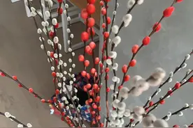 春节前后的年宵插花，买个枝条可观赏一两个月，哪一种是你最爱？图片