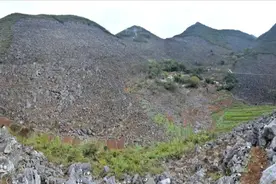 「农民日报推出《特困片区脱贫记》系列报告文学⑨」开在石头上的花图片