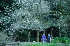 武夷山，人类高质量修仙基地图片