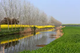 南通话为什么听起来那么像日语？图片