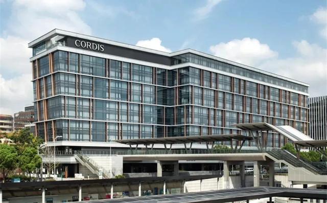 粤菜炒花胶的做法大全 2026年粤菜炒花胶的做法大全视频