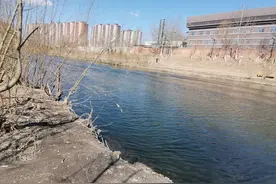 急性过敏性休克（实用总结）图片