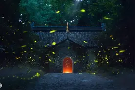 小说：女警花审讯犯人：凶犯竟是儿时玩伴，更是她曾经的救命恩人图片