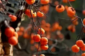 全职太太花钱被老公管得死死的？支两招教你藏私房钱不被发现图片