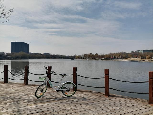 徐州的公共自行车！！！