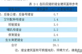 非瘟防控下新建猪场规划设计思路图片