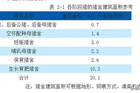 非瘟防控下新建猪场规划设计思路图片