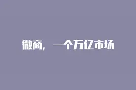 从“三无产品”变成“国货之光”？被称传销的微商，“洗白”了图片