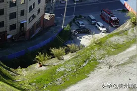 狗狗被困坡壁三天，消防“飞檐走壁”救援图片