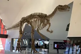 澳洲“国家博物馆”澳洲原始至产业革命，文化发展图片