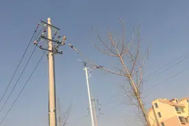 配电线路四种杆型介绍图片