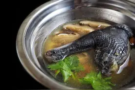 中药乌鸡白凤丸：从妇科圣药到包治男科，在古代不过是道高端料理图片