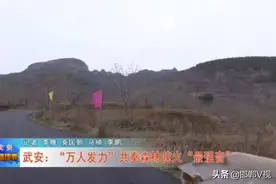 武安：“万人发力”共奏清明森林防火“最强音”图片